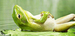 relax-4.jpg